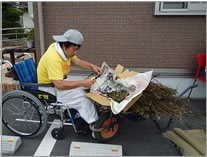 落花生収穫後